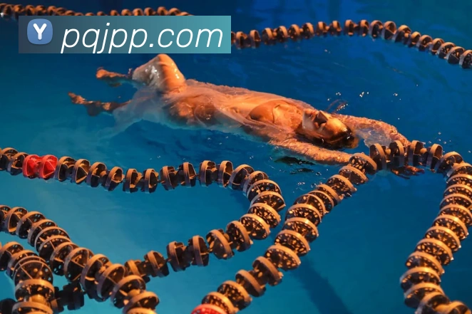 熊猫体育全站App